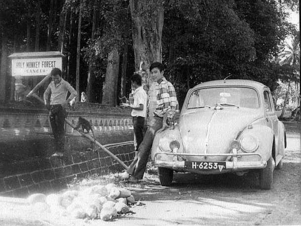 Holy Monkey Forest - Sangeh : Monday : 20. April 1970