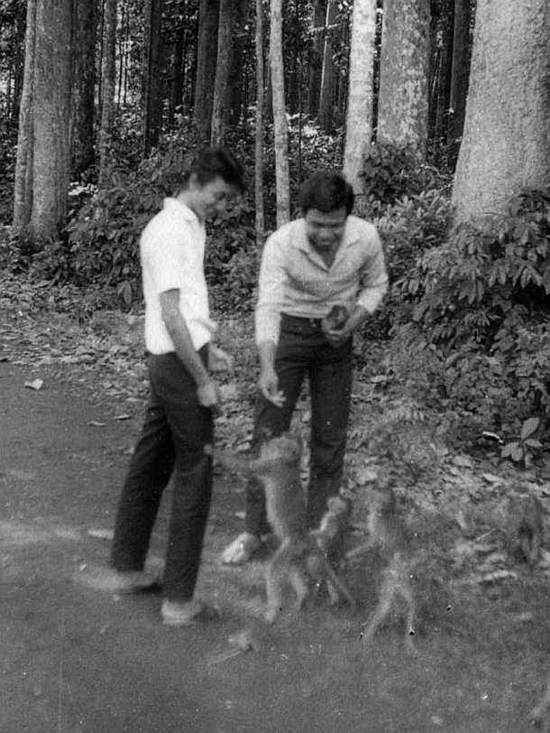 Sangeh - Holy Monkey Forest : Monday : 20. April 1970
