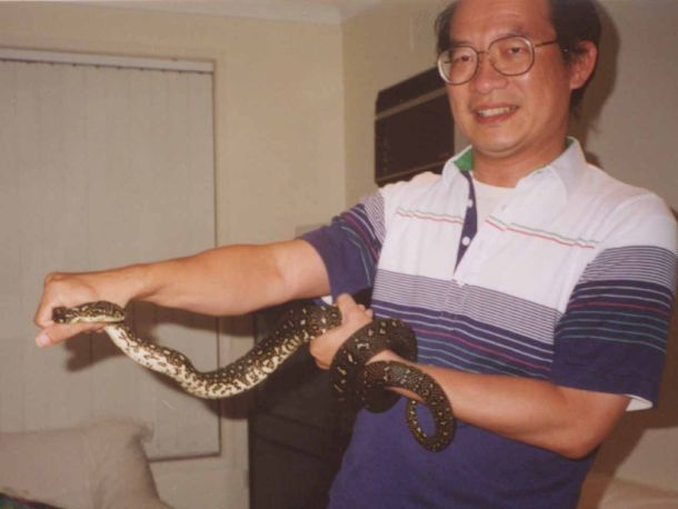 Snake as a pet : Sunday : 06. October 2002