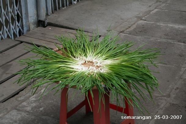 lumpiasemarangdariganglombok.jpg